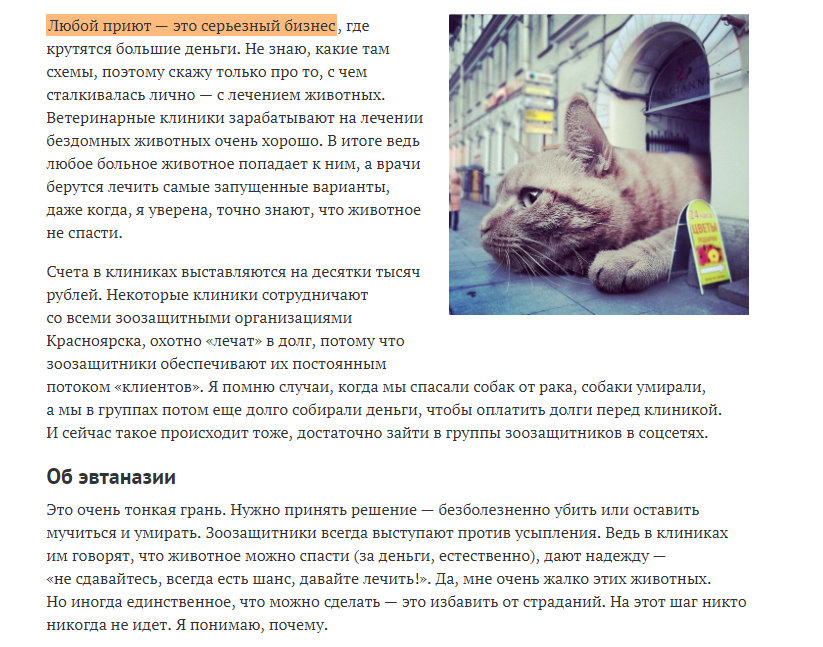 Эвтаназия животных Новокузнецк. Долг перед клиникой животные.