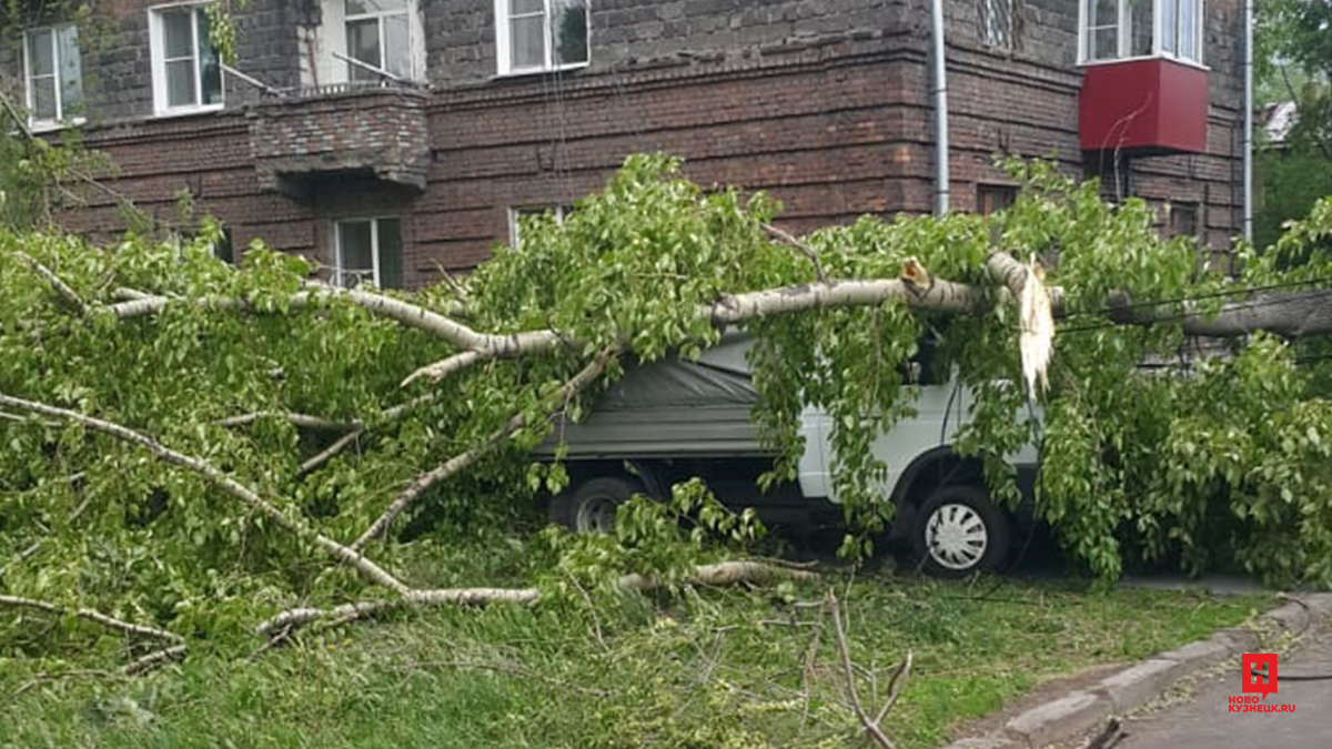 Ураган в новокузнецке сегодня. Ураган в Новокузнецке. Ураган и поваленные деревья: в Ейске разбушевалась непогода. Ураган в Новокузнецке вчера. Падение тополя в Новокузнецке.