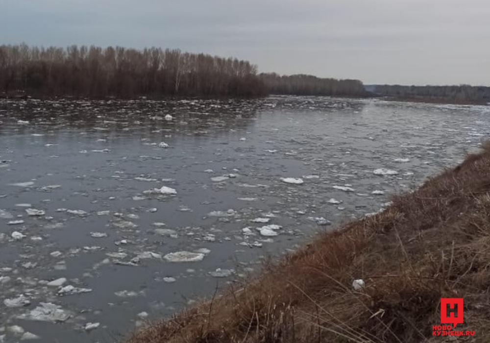 Показать уровень томи новокузнецк